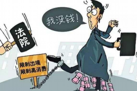 张家界债务清欠服务